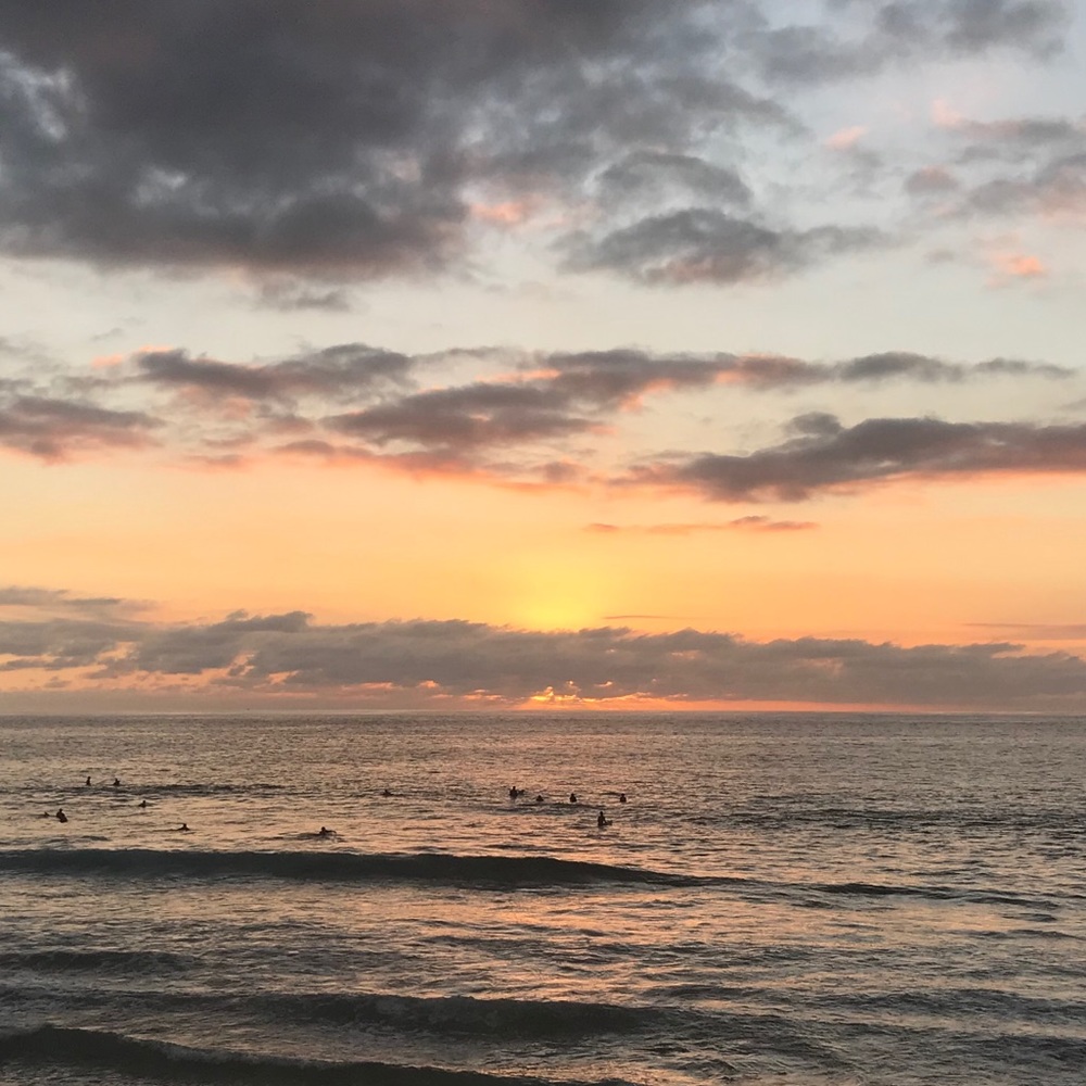 Follow me @januarysummer